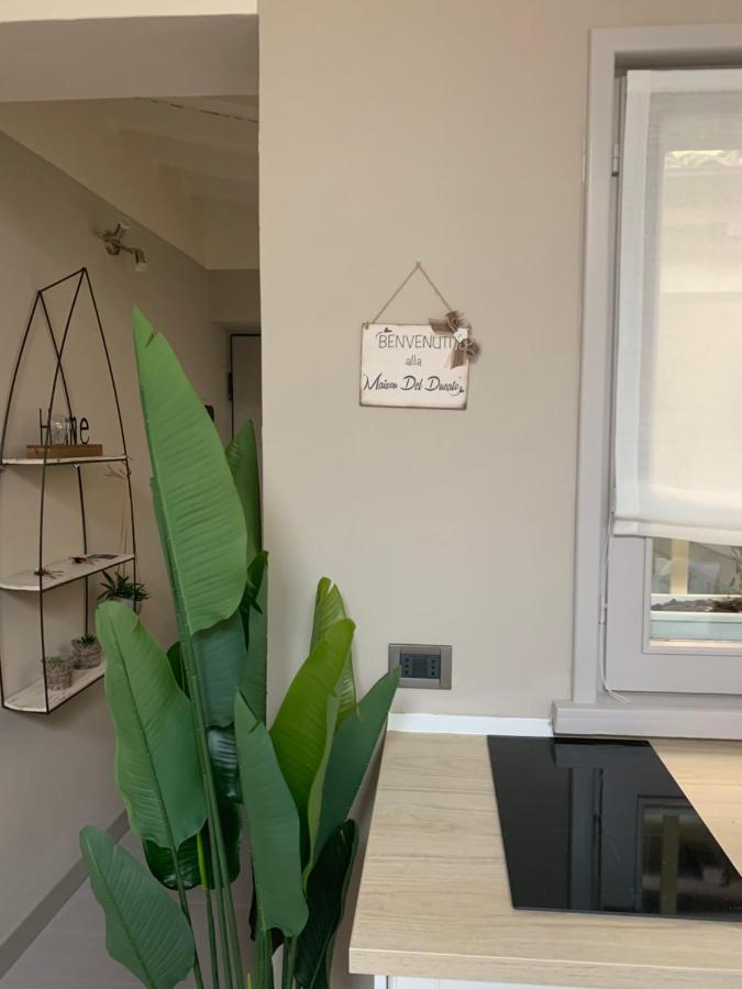 Maison del Ducato “Cavour 24” Parma Esterno foto